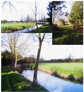 Early Spring The River Blackwater