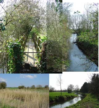 The River Blackwater and foot bridge (excellent for Pooh sticks).